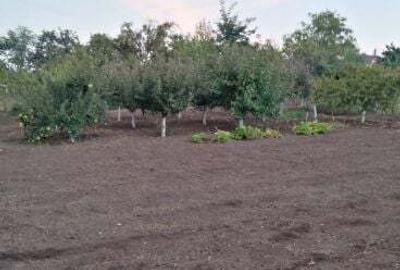Casă cu 4 camere în Grivița - 1