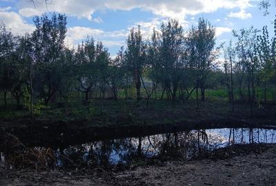 Teren intravilan Teslui - 3