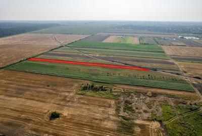 Teren agricol extravilan de 4271 mp, în Vladimirescu - 2