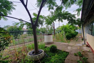 Casă cu 4 camere în Mihăilești - 3