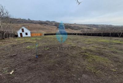 Casă cu 8 camere cu Canalizare în Viticultori - 10