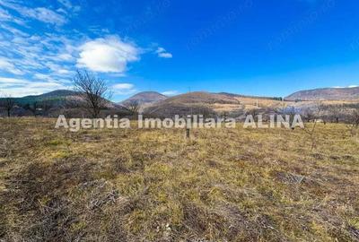 15 parcele de Teren intravilan in Deva, zona Calugareni, Strada Prunilor, Jud. Hd, cu PUZ, PUD, etc. - 7