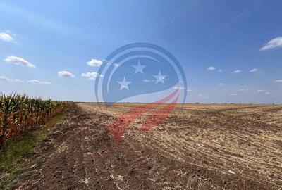 Teren de 5087 mp, în Pielești - 5