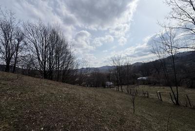 Teren Construcții intravilan de 6040 mp, în Drăgăneasa - 9