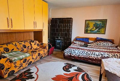 Proprietate Slobozia-Roznov, casa mansardata, teren si livada - 16