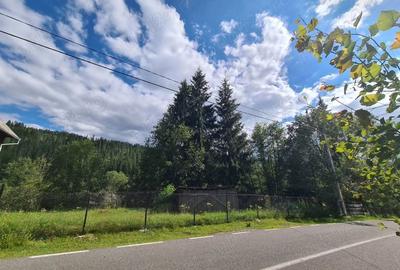 Casă cu Teren 2543 Mp în Poiana Horea - 4