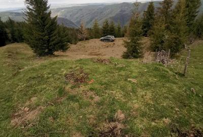 Teren agricol extravilan de 15841 mp, în Muntele Rece