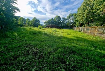 Teren 1,749mp Piatra-Neamt / Strada Zambilelor - 13