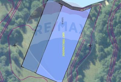 Teren de 6000 mp, în Dălghiu - 2