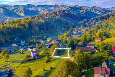 Teren de 1564 mp, în Moieciu - 11