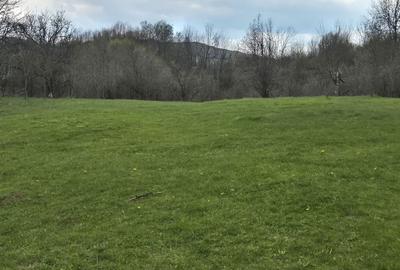 Spațiu comercial, în Făget - 2