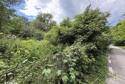 Teren de 683 mp, în Provița de Sus - 7