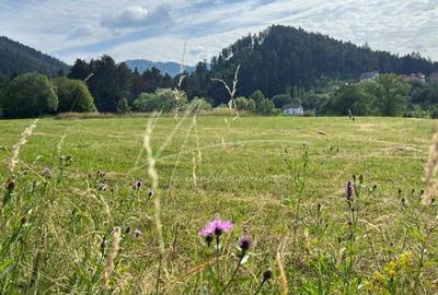 Brasov 2 Loturi de teren intravilan, 400 mp. cu autorizatie constructie valabila 2026 - 1
