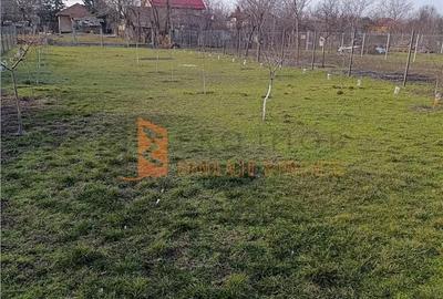 Casă cu 2 camere cu Teren 869 Mp în Vadu Pașii - 19