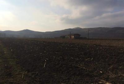 Teren de 3000 mp, în Șard - 3