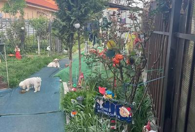 Proprietar vand sau schimb casa cu etaj - 9