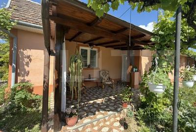 Casă cu 3 camere cu Teren 6325 Mp în Central - 13