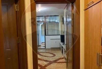 Apartament cu 1 camera de inchiriat in zona Brazda lui Novac - 8