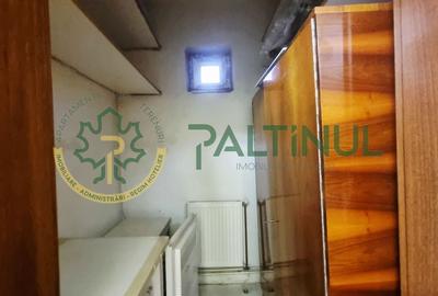 Casă singur în curte, 1.310 mp teren - Gusterița, garaj, pivniță, grădină Casă singur în curte, 1.310 mp teren - Gusterița, garaj, pivniță, grădină - 10