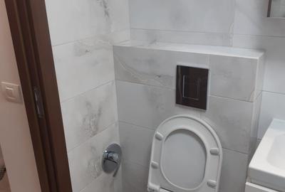 Apartament cu 2 camere decomandat în Valea Ialomiței - 9