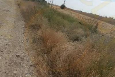 Teren de 3067 mp, în Bradu