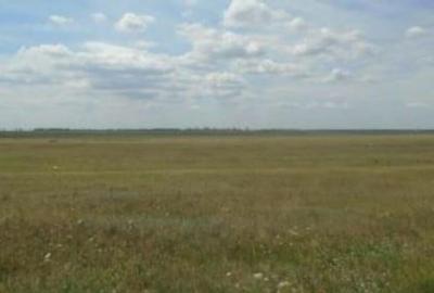 Teren Visani, ID R2216738 - 1