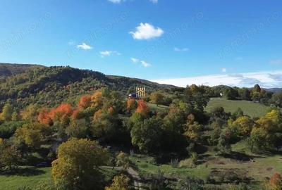 Teren de 3500 mp, în Cacica - 3