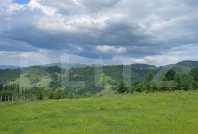 Teren de vanzare, 2 ha - Campulung Moldovenesc, zona Sandru - 1