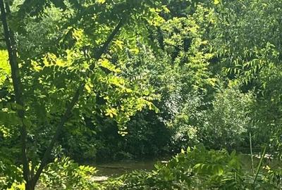 Teren de 10000 mp, în Vicovu de Sus - 5