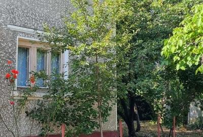 Casa de vanzare Poganu Olt - 8