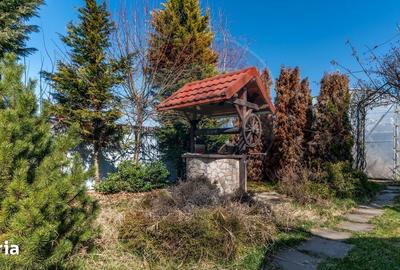 Teren de 2491 mp, în Gruia - 5