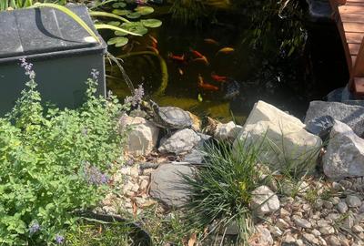 Casa moderna in Balotesti, 4 cam, 3 bai, curte superba 730 mp, 0% comision - 24