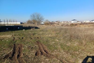 Casa Parter- teren 480mp  Lebedelor Comuna Berceni - 3