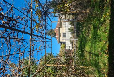 Vand casa la curte cu imbunatatiri - 9