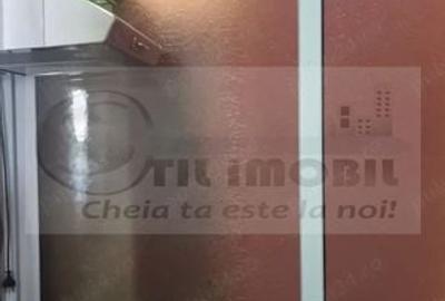 Apartament 2 cam SD - Nicolina,58 mp-Mansarda intabulata- 70.000 euro - 6