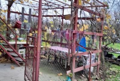 Casă cu 3 camere cu Teren 15000 Mp în Bărcănești - 5