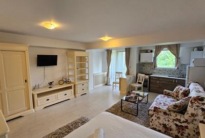 Garsoniera zona Otopeni (Aeroport) bloc NOU, Mobilata-Utilata MODERN - 5