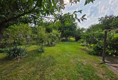 Casă primitoare de vânzare în Seini, aproape de centrul orașului - 5