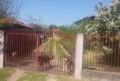 Teren de 1200 mp, în Blejoi