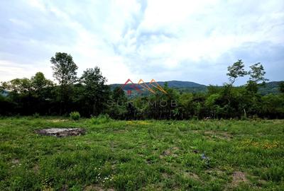 Teren Construcții intravilan de 2600 mp, în Drăgăneasa - 1