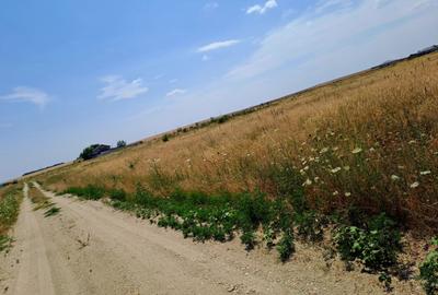 Teren de 415 mp, în Cârcea