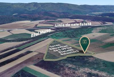 Teren extravilan de 5,99 ha la 200 m de Mure?, ideal pentru balastiera in Ususau - 3