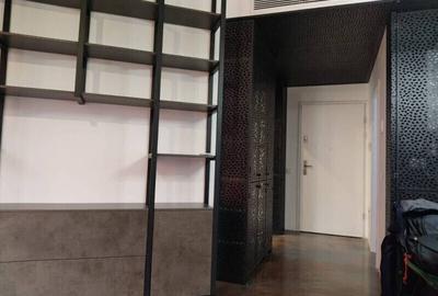 Apartament 2 camere mobilat/utilat lux cu terasa zona Parc Carol - 10