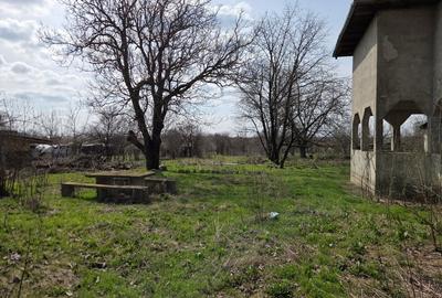 Teren Construcții intravilan de 3842 mp, în Gagu - 8