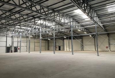 Spațiu comercial, de 1,462 mp, în Nord