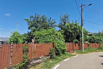 Casă individuală cu 3 camere cu Teren 2000 Mp în Malu Vânăt - 15