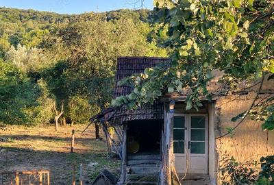 Casă cu 3 camere în Căpruța - 1