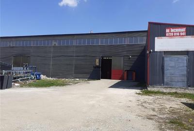 Spatiu Industrial - 3600 mp - Productie - Depozitare - Distributie - 8