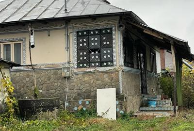 Casă cu 2 camere cu Teren 436 Mp în Plopu - 3