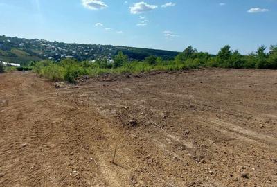 Teren intravilan , Bucium Barnova Teren intravilan , Bucium Barnova - 8